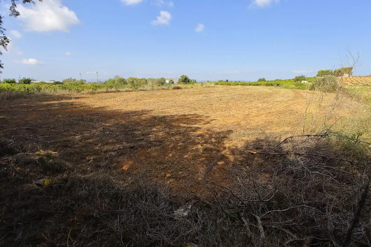 Rural land for sale in Alcanar, imagen 4