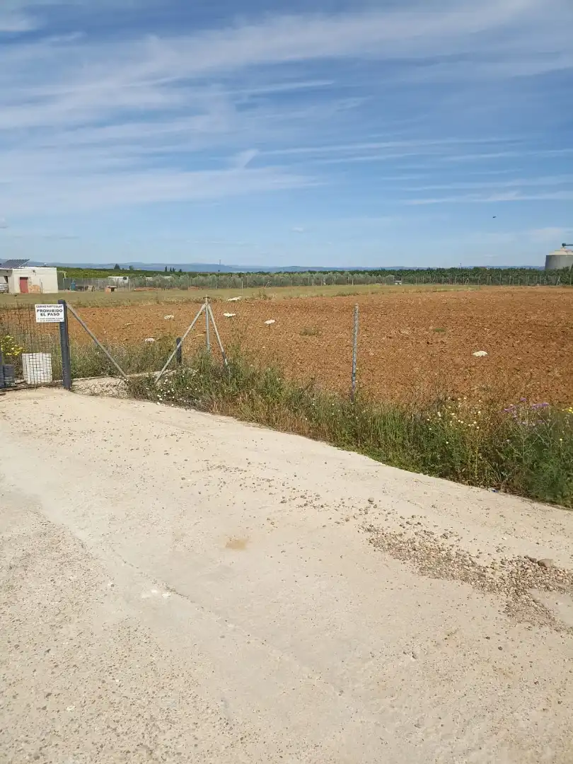 Terreny rústic en venda a Fuente Palmera, imagen 3