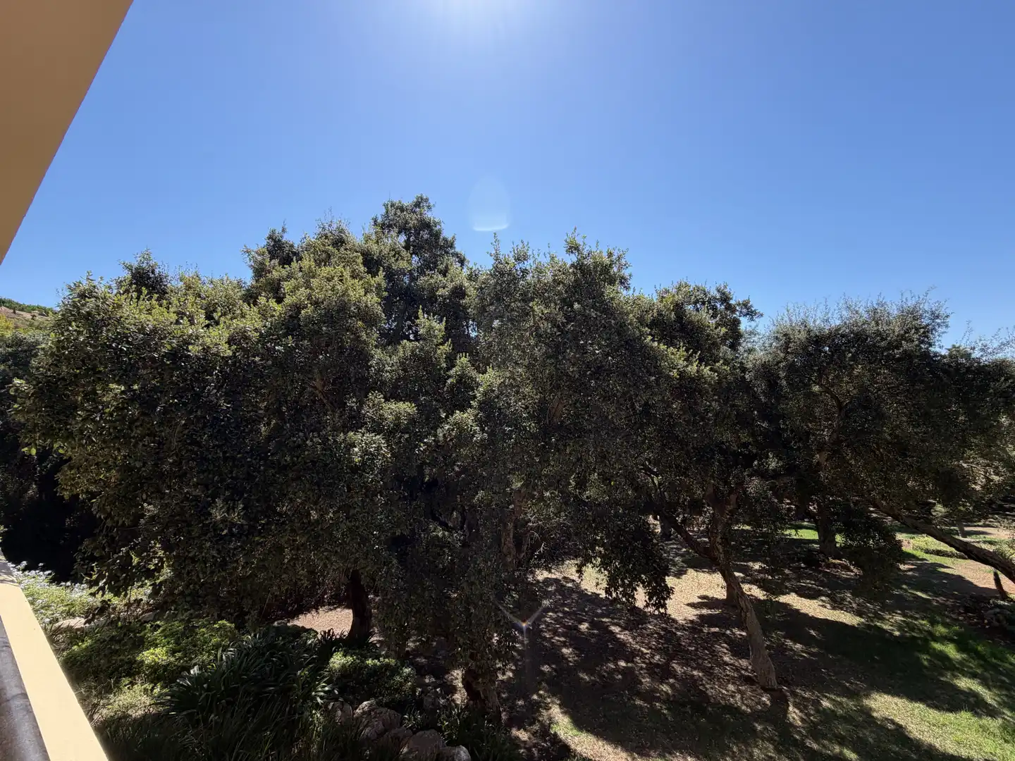 Bajo con piscina en venta en Sotogrande Alto, imagen 16