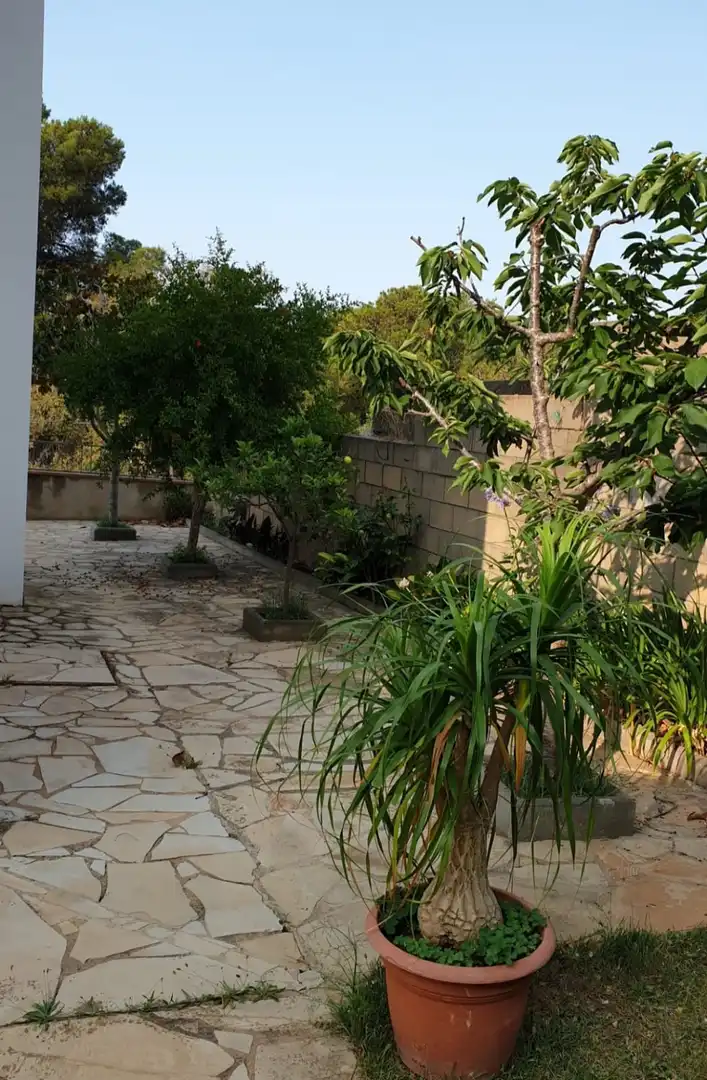 Haus mit Garten zum Verkauf in Tossa de Mar pueblo, imagen 17