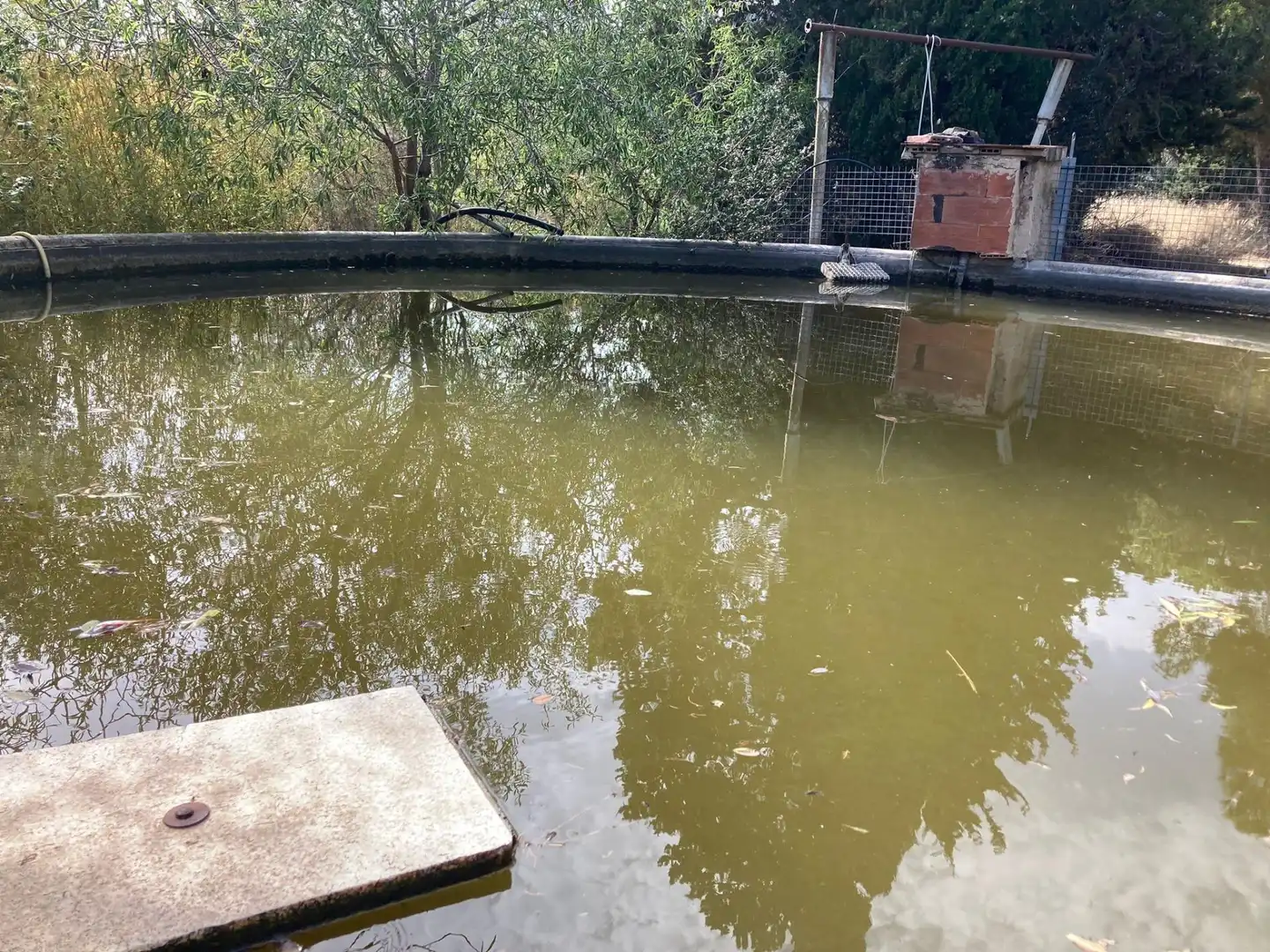 Piscina de Terreno en venta en Pineda de Mar