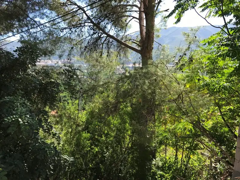 Terreno rústico en venta en Carrer Ametler, imagen 10