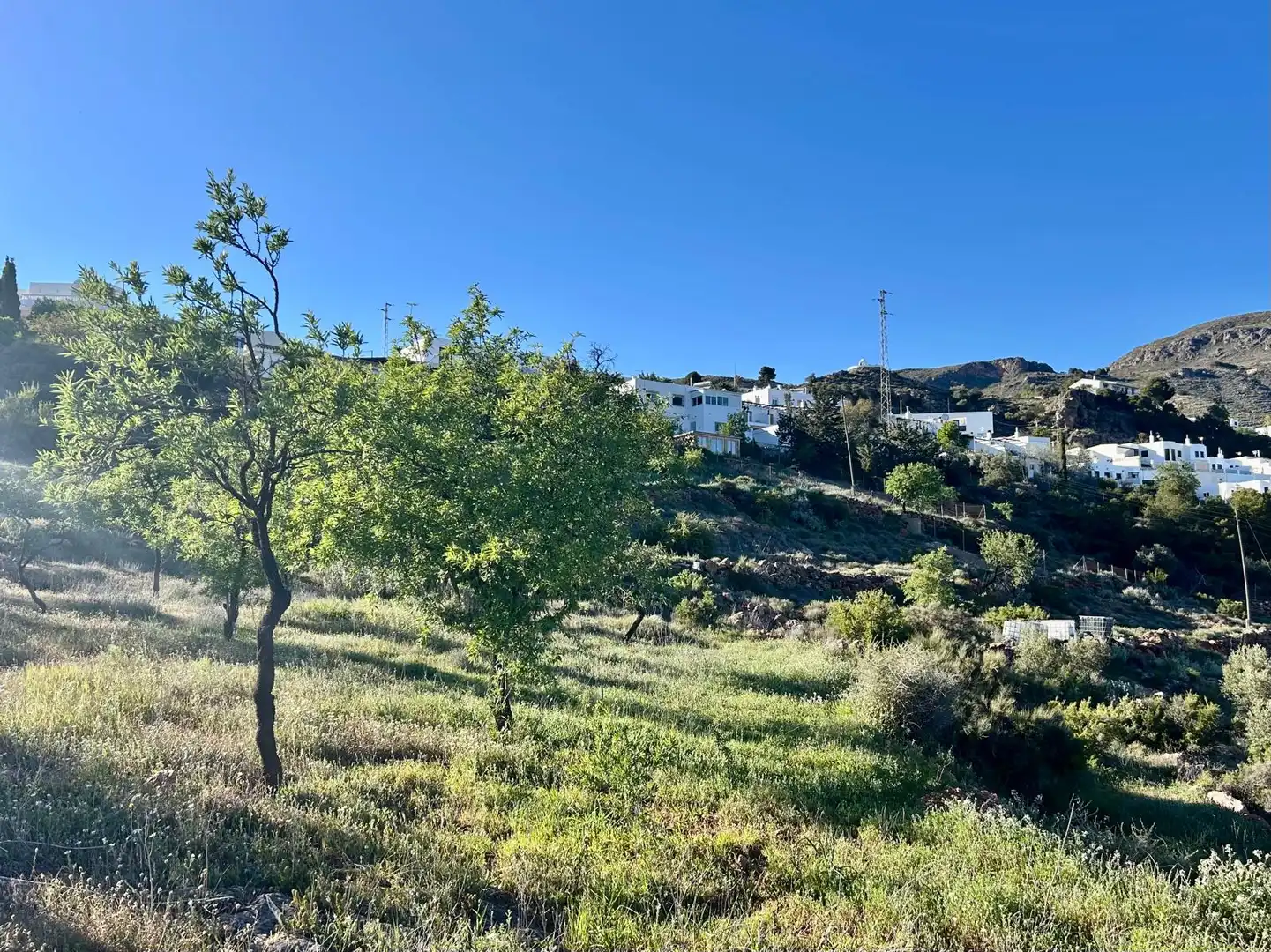 Vista exterior de Terreno en venta en Felix