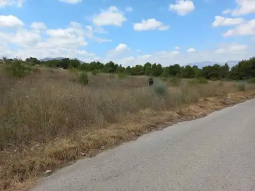 Residential land for sale in Partida Seus, imagen 11
