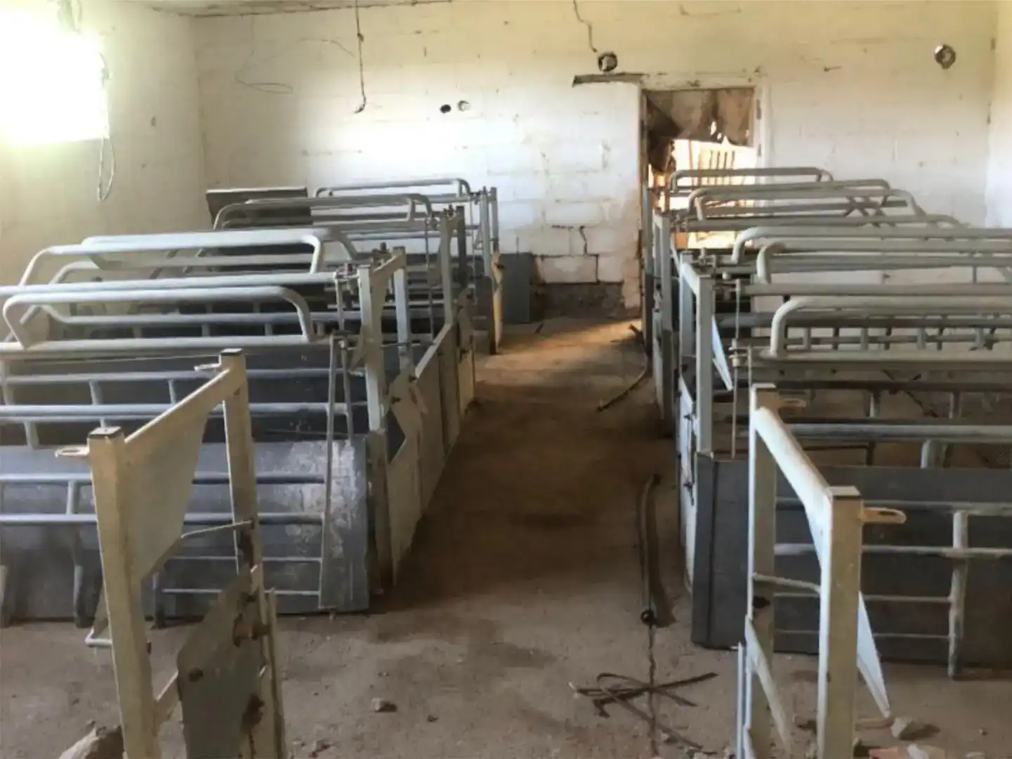 Finca rústica en venda en Benalúa
