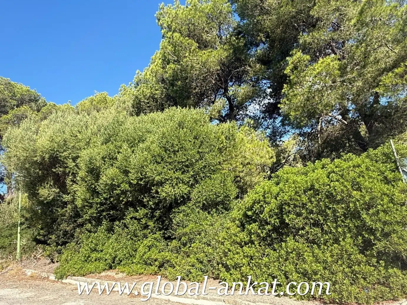Wohnbaugrundstück zum Verkauf in Cales de Mallorca, imagen 4