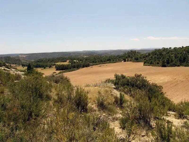 Finca rústica en venta en Alcañiz