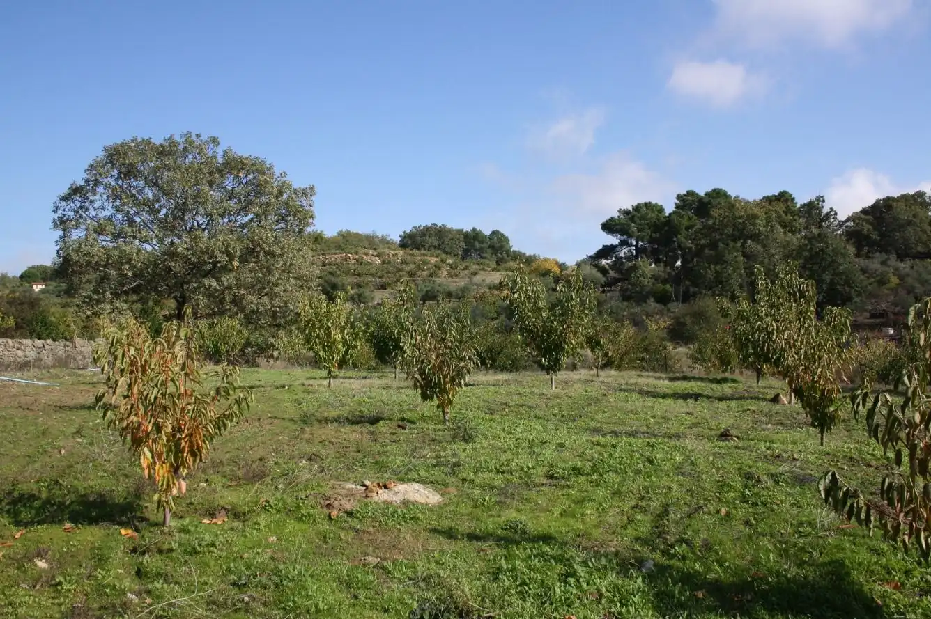 Finca rústica en venta en Torremenga con Jardín privado, Terraza y Amueblado