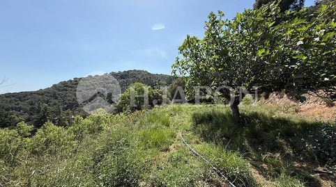 Parcela con vistas panorámicas y poca inclinación., immagine 4