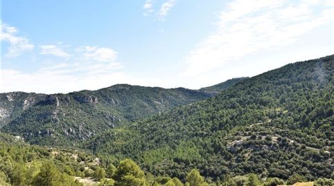 Foto 3 de Terreno en venta en Peñarroya de Tastavins, Teruel