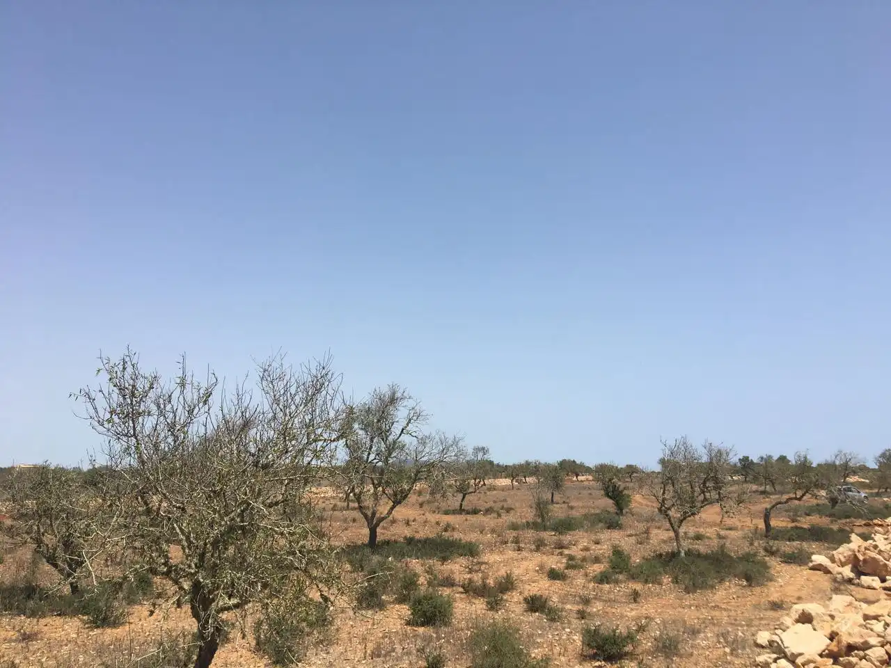 Casa amb piscina en venda a Camí des Pinaret Gran, imagen 16