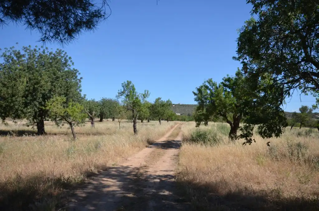 Casa rústica en venta en Llevant, imagen 20