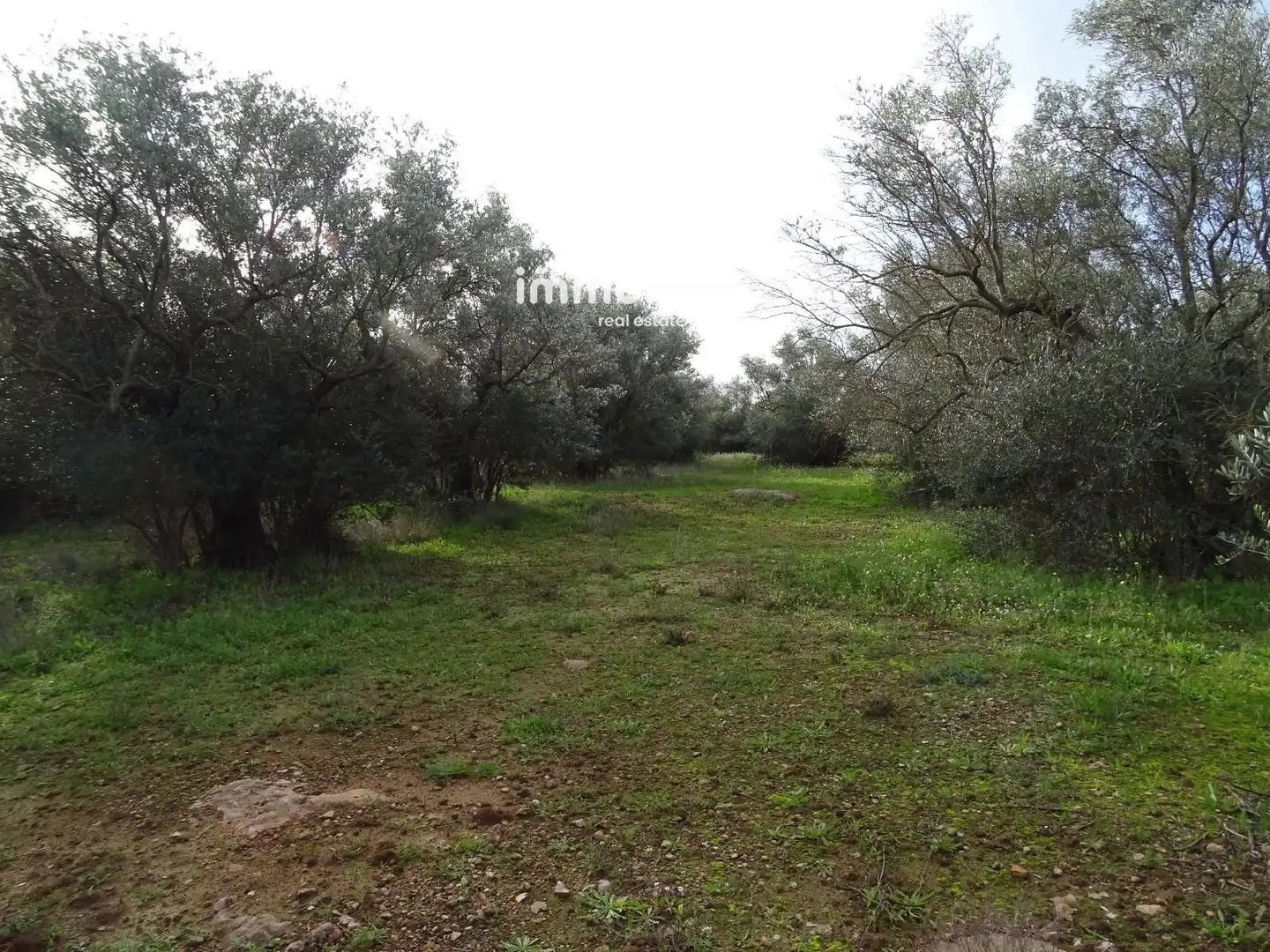 Terrain résidentiel à vendre à 16, imagen 23