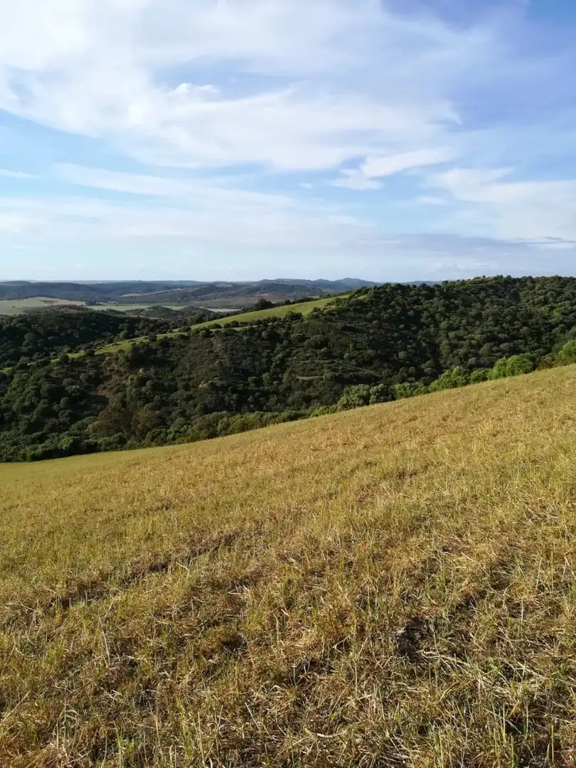 Terrain rustique à vendre à Vejer, imagen 5