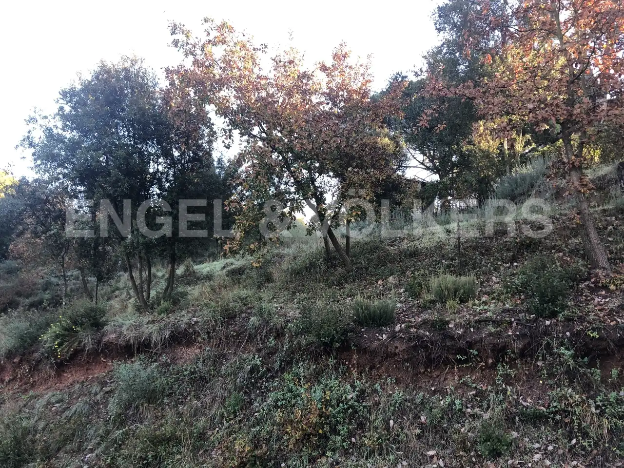 Residential land for sale in Sant Pere de Vilamajor, imagen 9