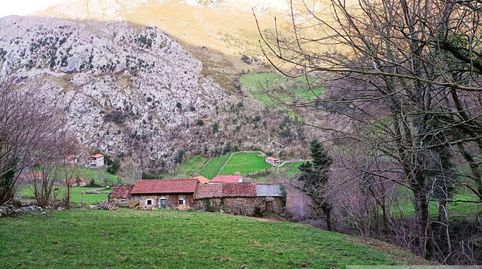 ArredondoTerreno, immagine 5