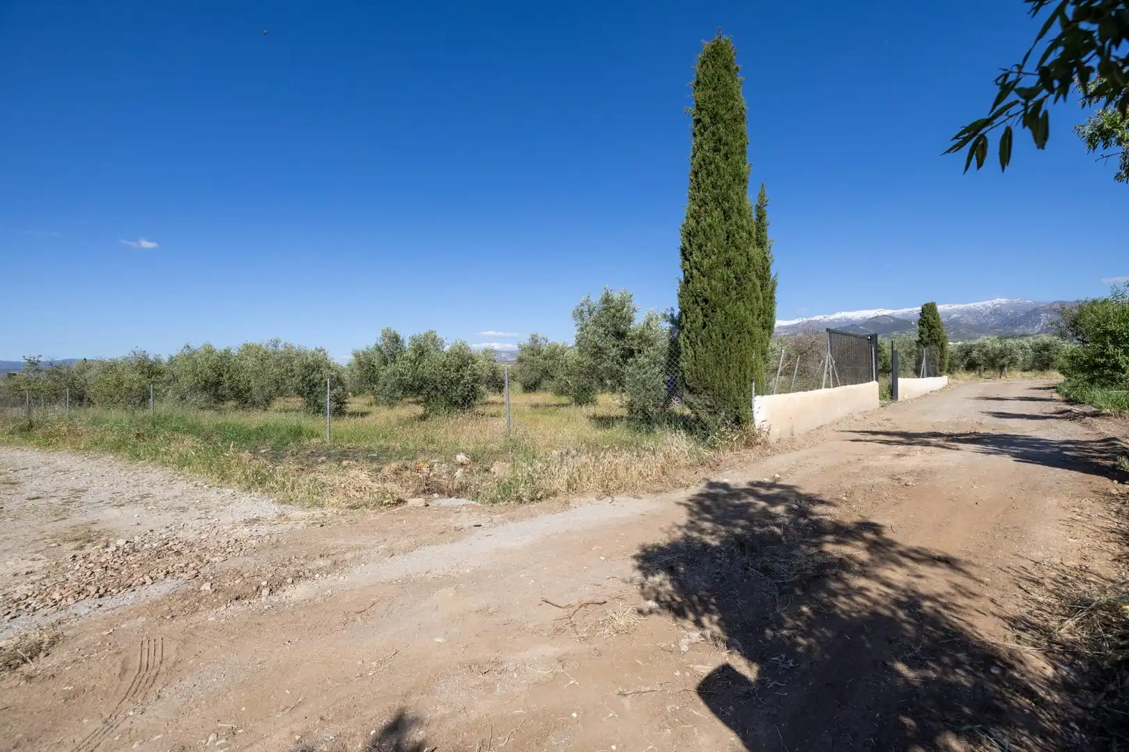 Rural land for sale in Polígono 3 Parcela 220 Arnique, imagen 30