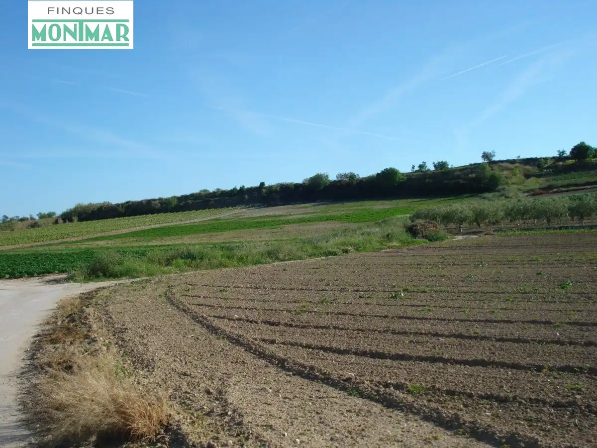 Finca rústica en venta en Castellví de la Marca