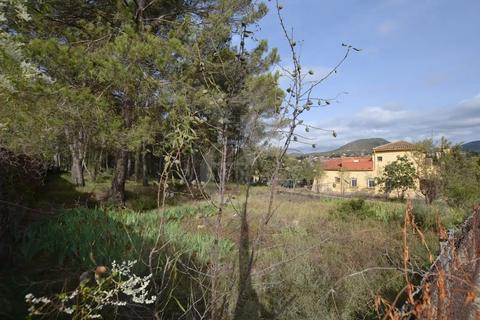Rural land for sale in Venta Quemada