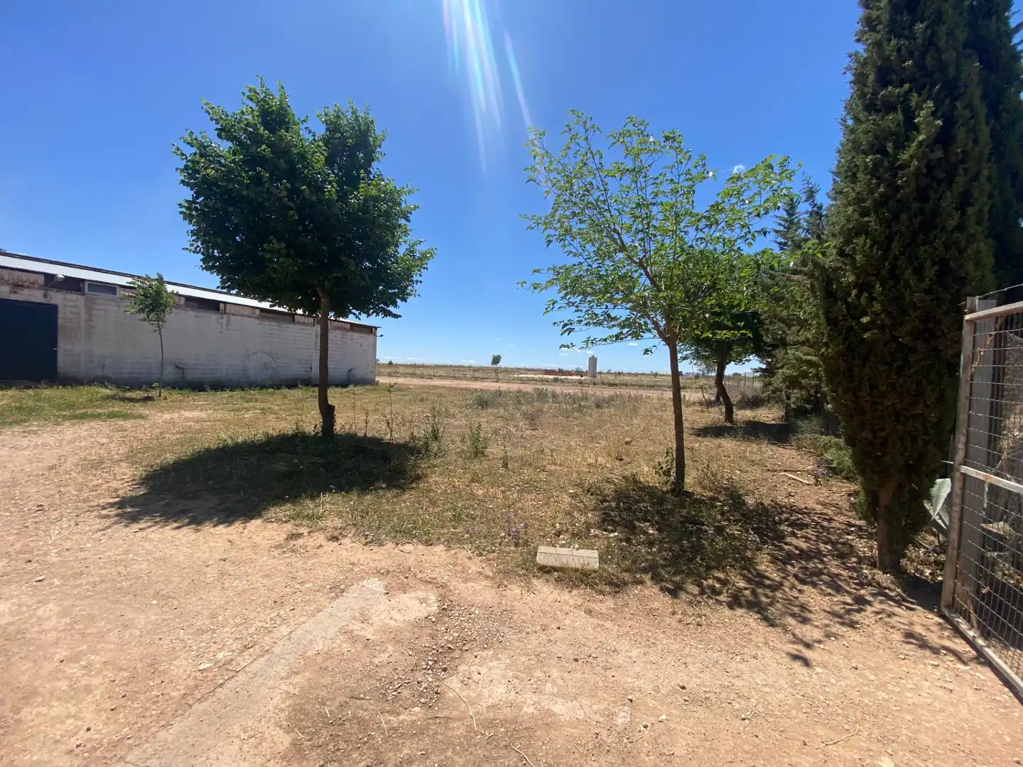 Terreny residencial en venda a Camino Camino de Torralba de Calatrava, imagen 2