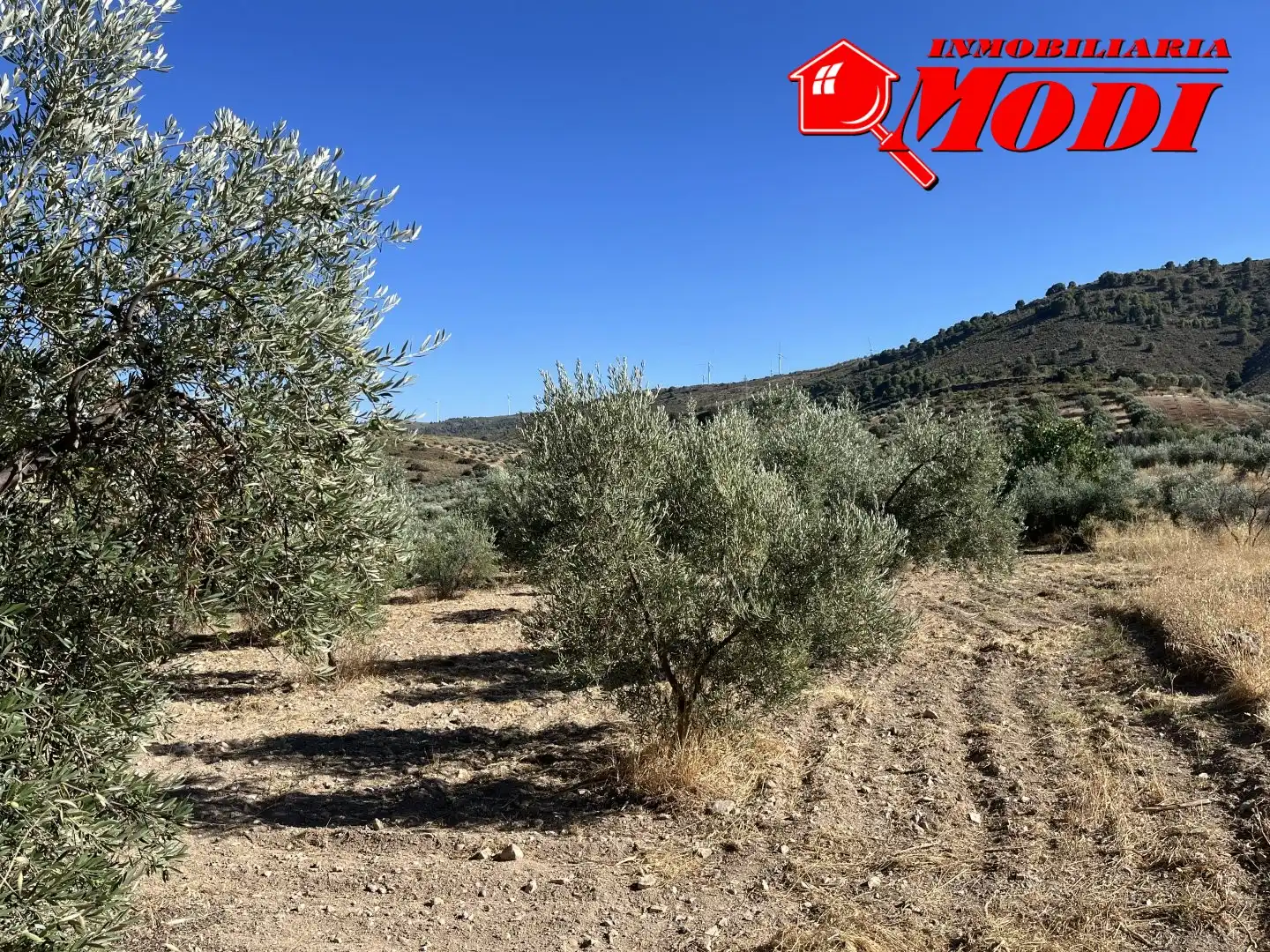 Finca rústica en venda en Padul amb Jardí privat