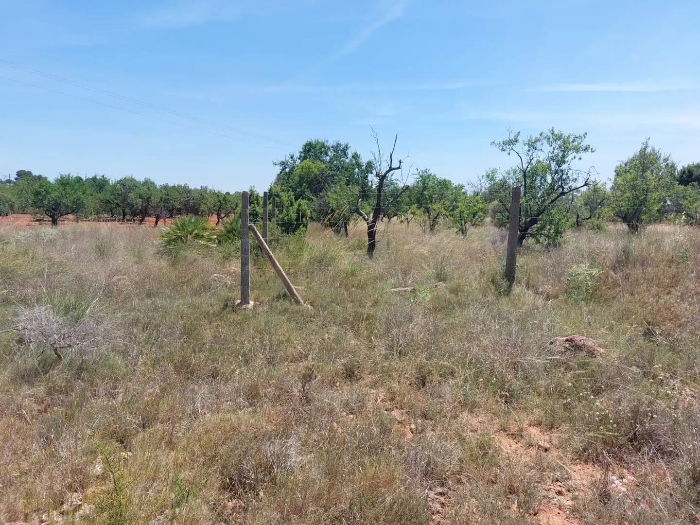 Terreno en venta en Náquera