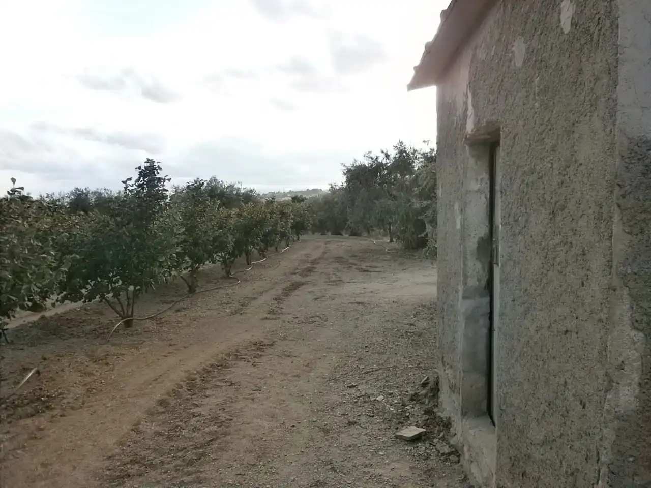 Rural land for sale in Castellvell del Camp, imagen 3