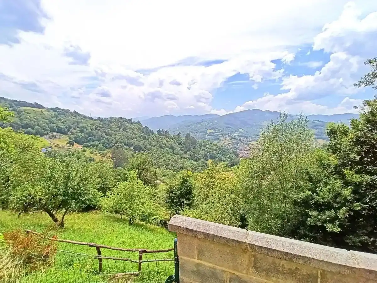 Jardí de Casa o xalet en venda en San Martín del Rey Aurelio amb Terrassa i Balcó