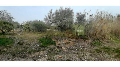 Foto 5 de Residencial en venta en Costa Norte, Vinaròs