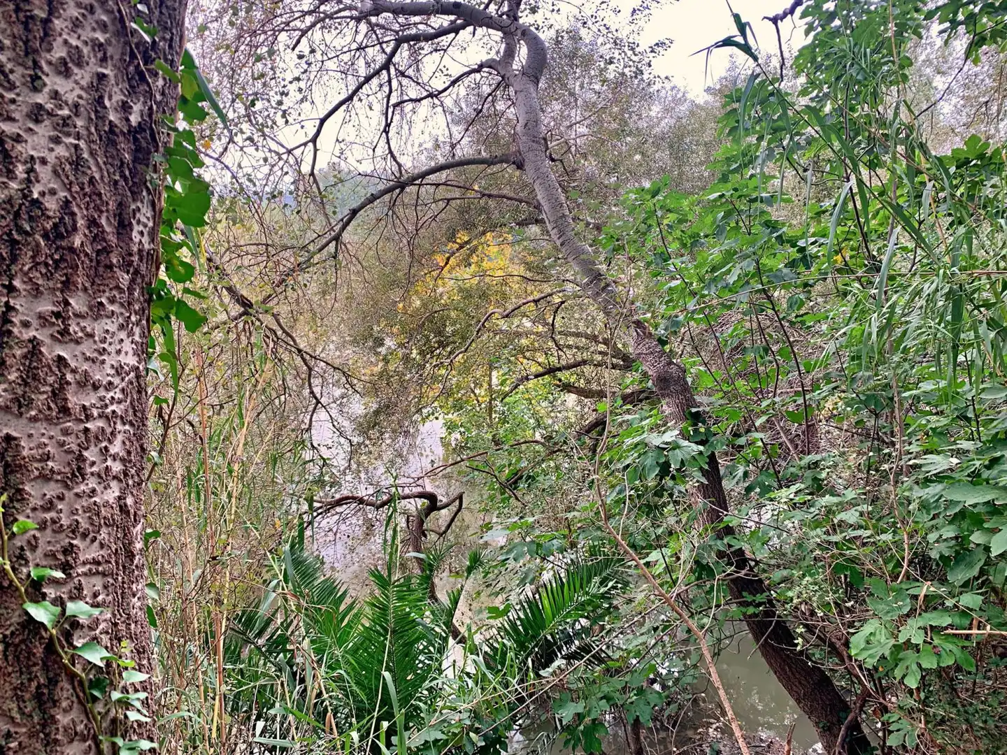 Jardí de Finca rústica en venda en Tortosa