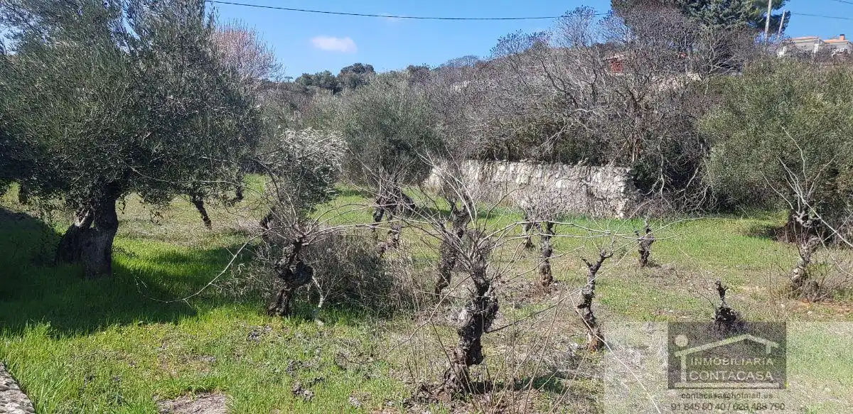 Finca rústica en venda en Loranca de Tajuña