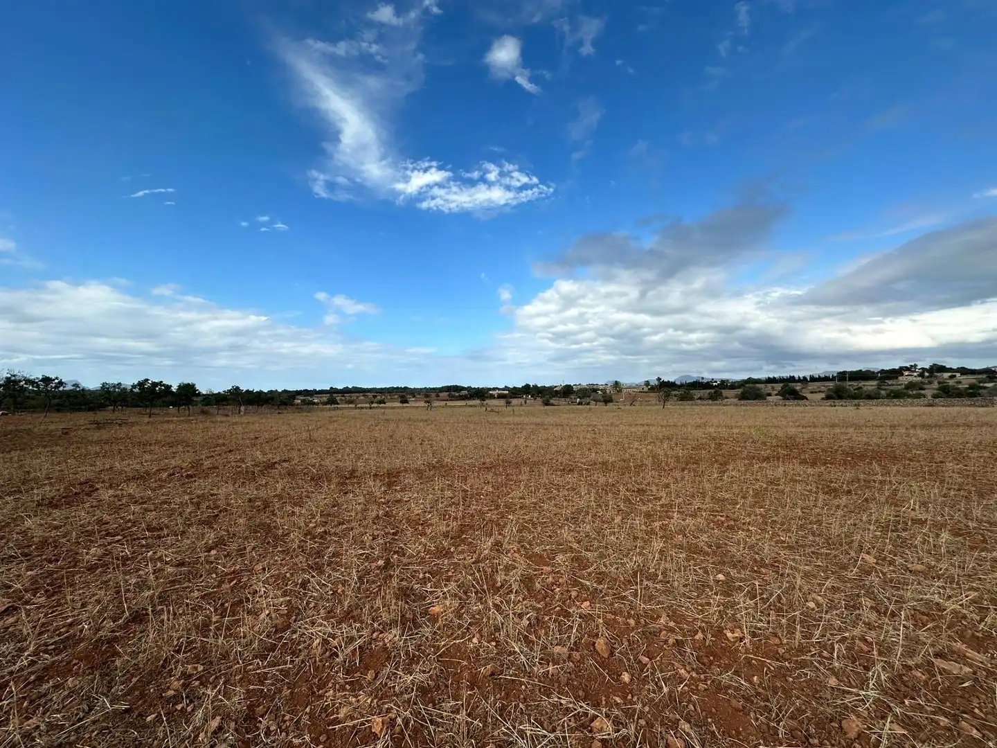 Terrain rustique à vendre à Muro, imagen 4