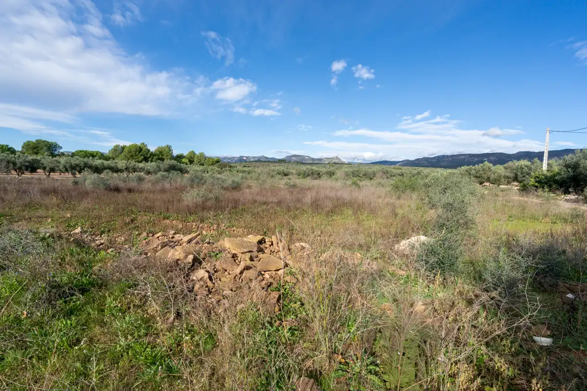 Rural land for sale in La Sénia, imagen 3