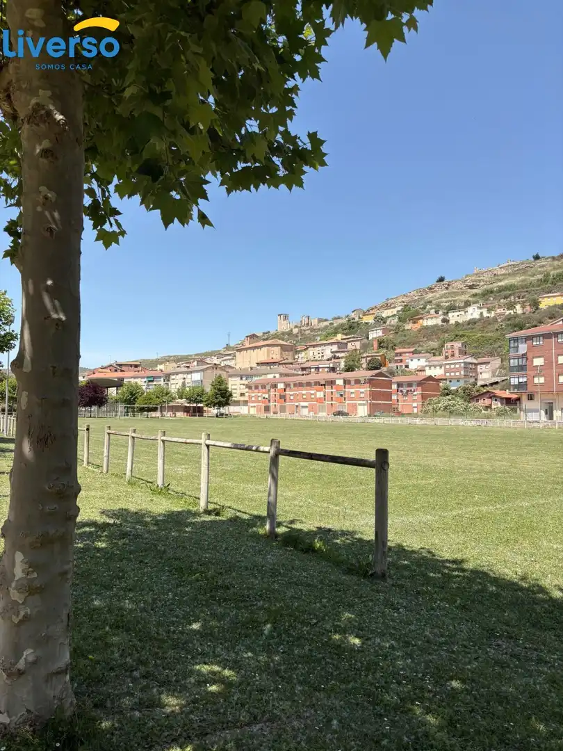 Vista exterior de Casa o chalet en venta en Cerezo de Río Tirón con Amueblado y Alarma
