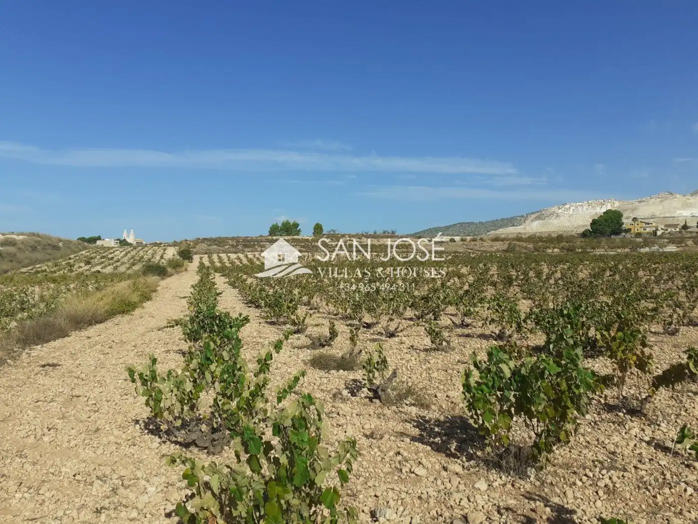 Lands and plots for sale in Algueña