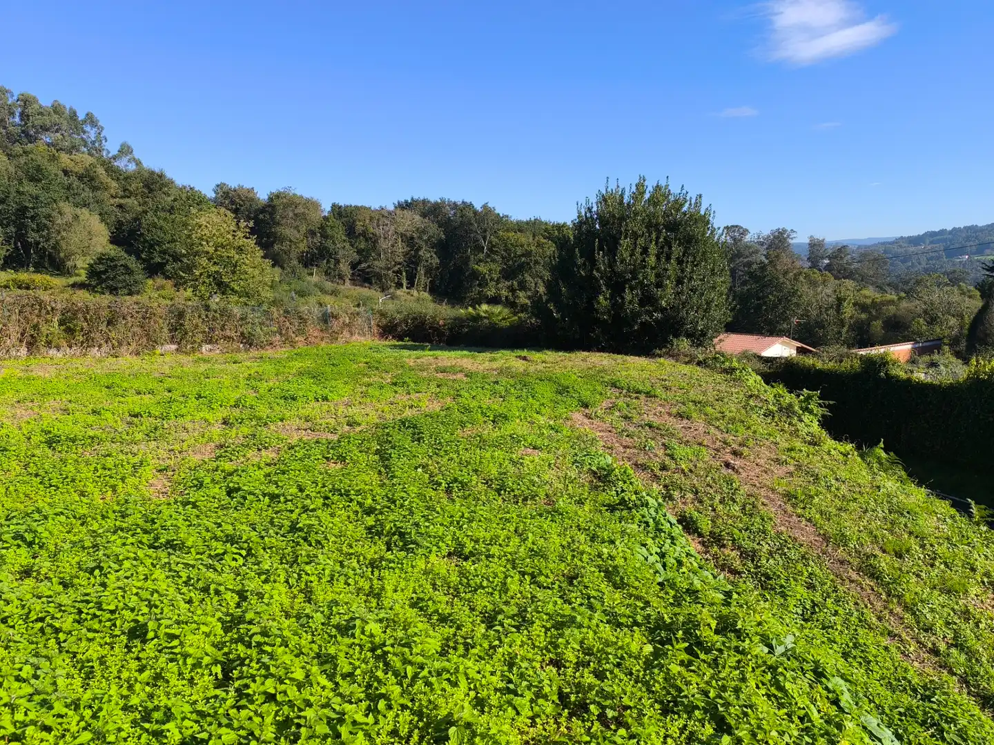 Terreno residencial en venta en Bergondo