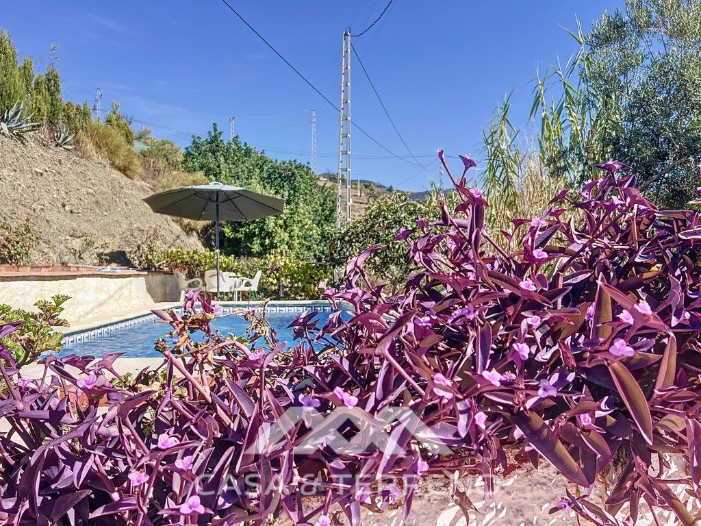 Vista exterior de Casa o xalet en venda en Sedella amb Aire condicionat, Terrassa i Piscina
