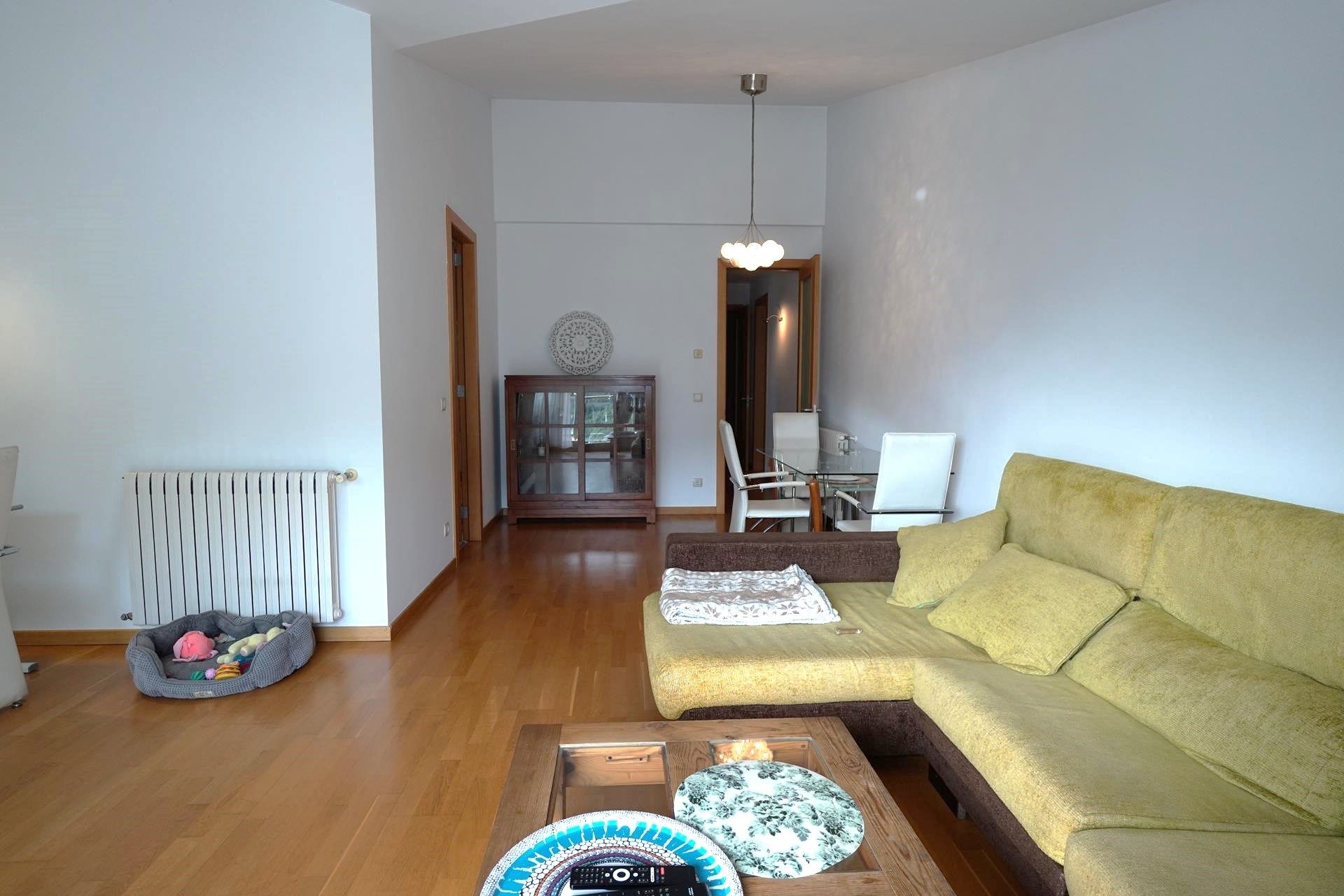 Sala de estar de Ático en venta en Encamp con Terraza