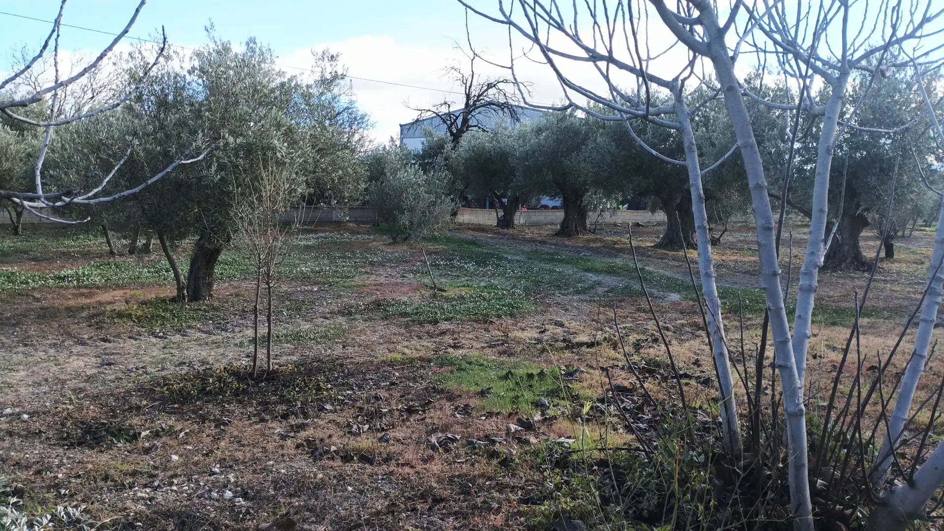 Casa o chalet en venta en Benamaurel con Calefacción, Terraza y Trastero