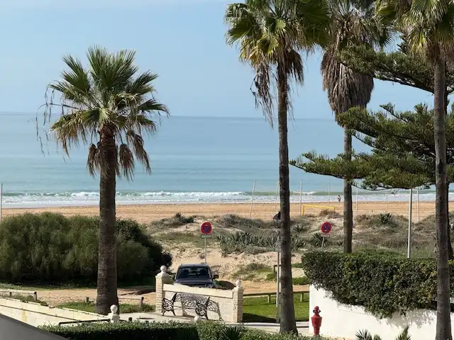 Exterior view of Detached homes for sale in Chiclana de la Frontera  with Air Conditioner, Heating and Terrace