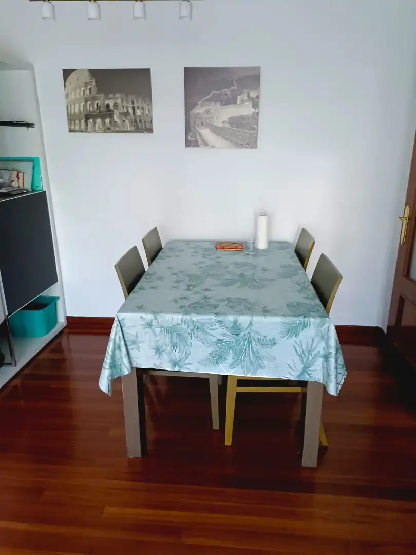 Piso con terraza en alquiler en Cotolino, imagen 6