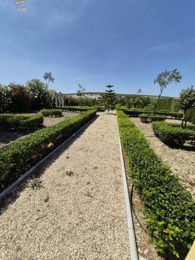 Casa rústica amb jardí en venda a Arcos de la Frontera, imagen 88