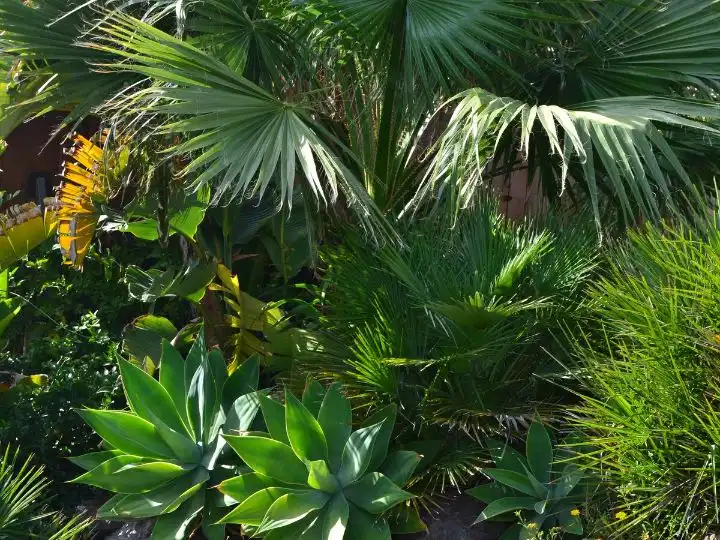 Jardí de Casa o xalet de lloguer en Las Negras