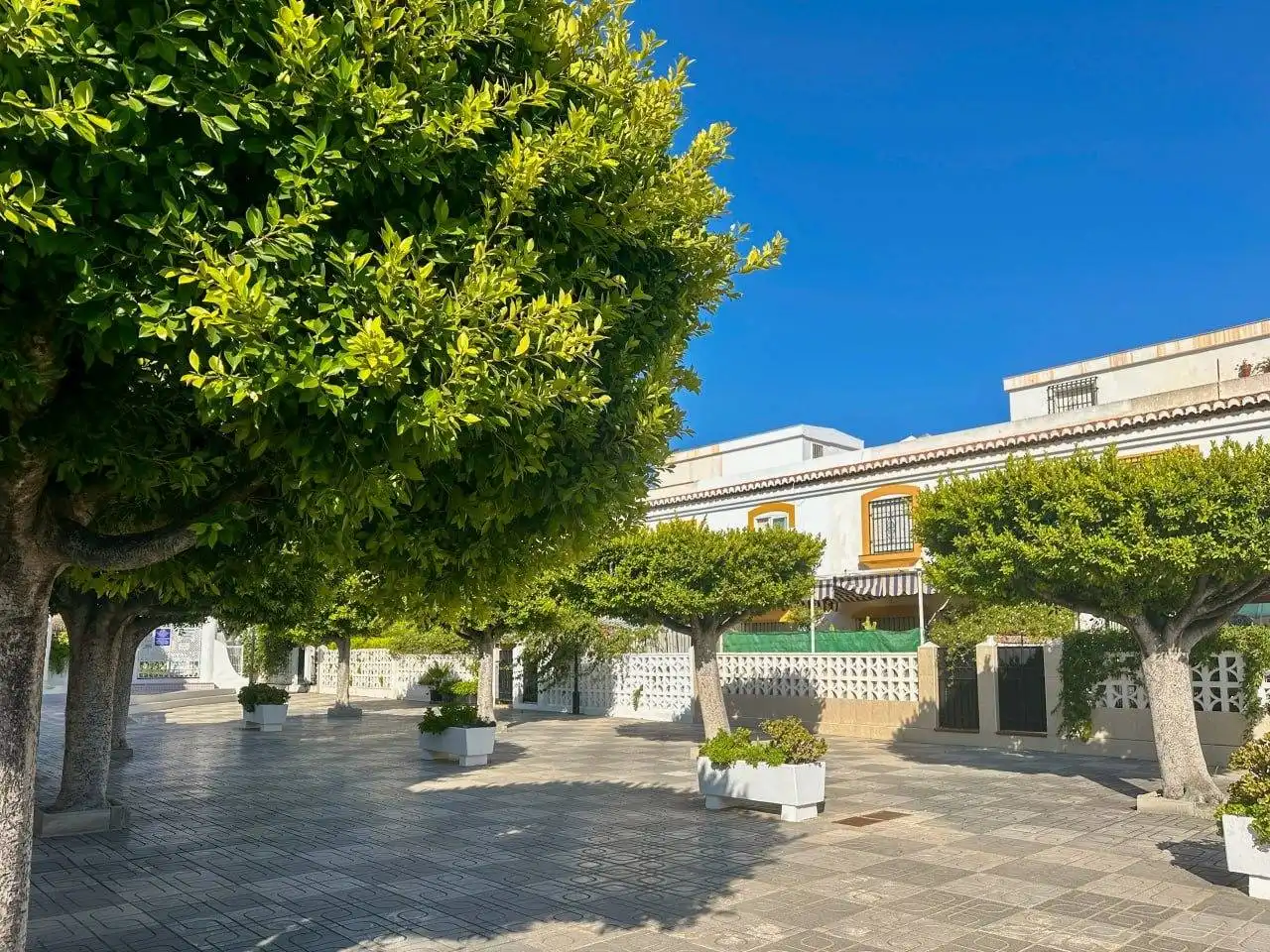 Vista exterior de Casa o xalet en venda en Salobreña amb Aire condicionat, Terrassa i Piscina comunitària