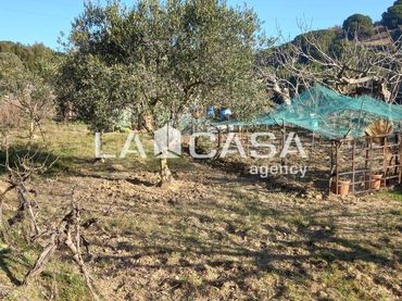 Terreno rustico in vendita a Zona Industrial