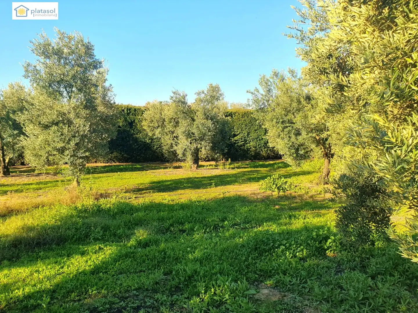 Finca rústica en venta en Chucena con Aire acondicionado, Calefacción y Jardín privado
