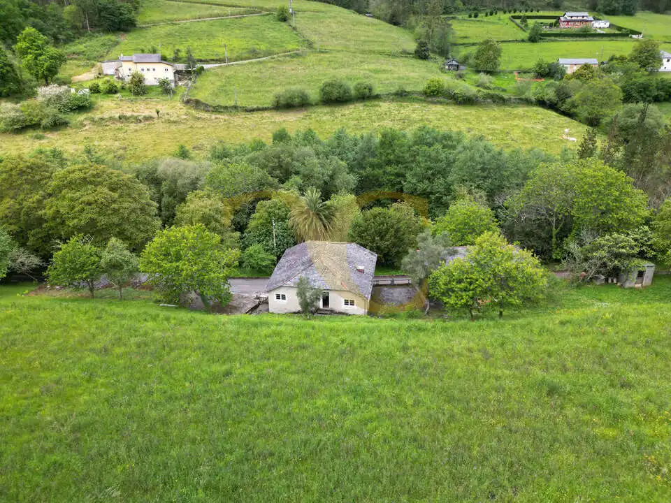 Casa o chalet en venta en Coaña