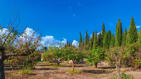 Photo 5 of Country house for sale in Establiments,  Palma de Mallorca