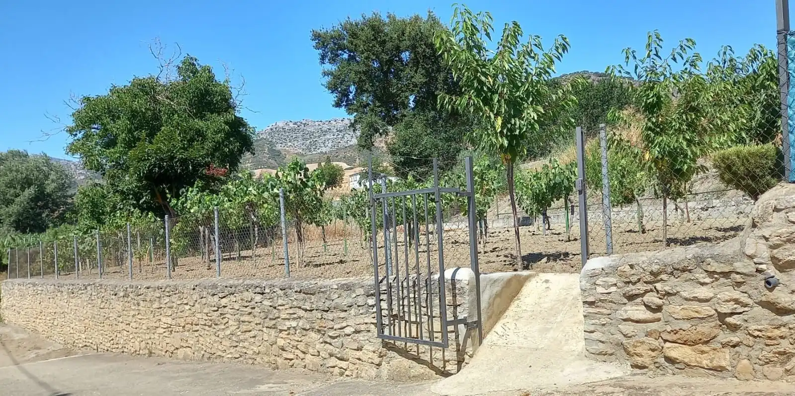 Casa rustica con piscina in vendita a Partidas Norte, imagen 24