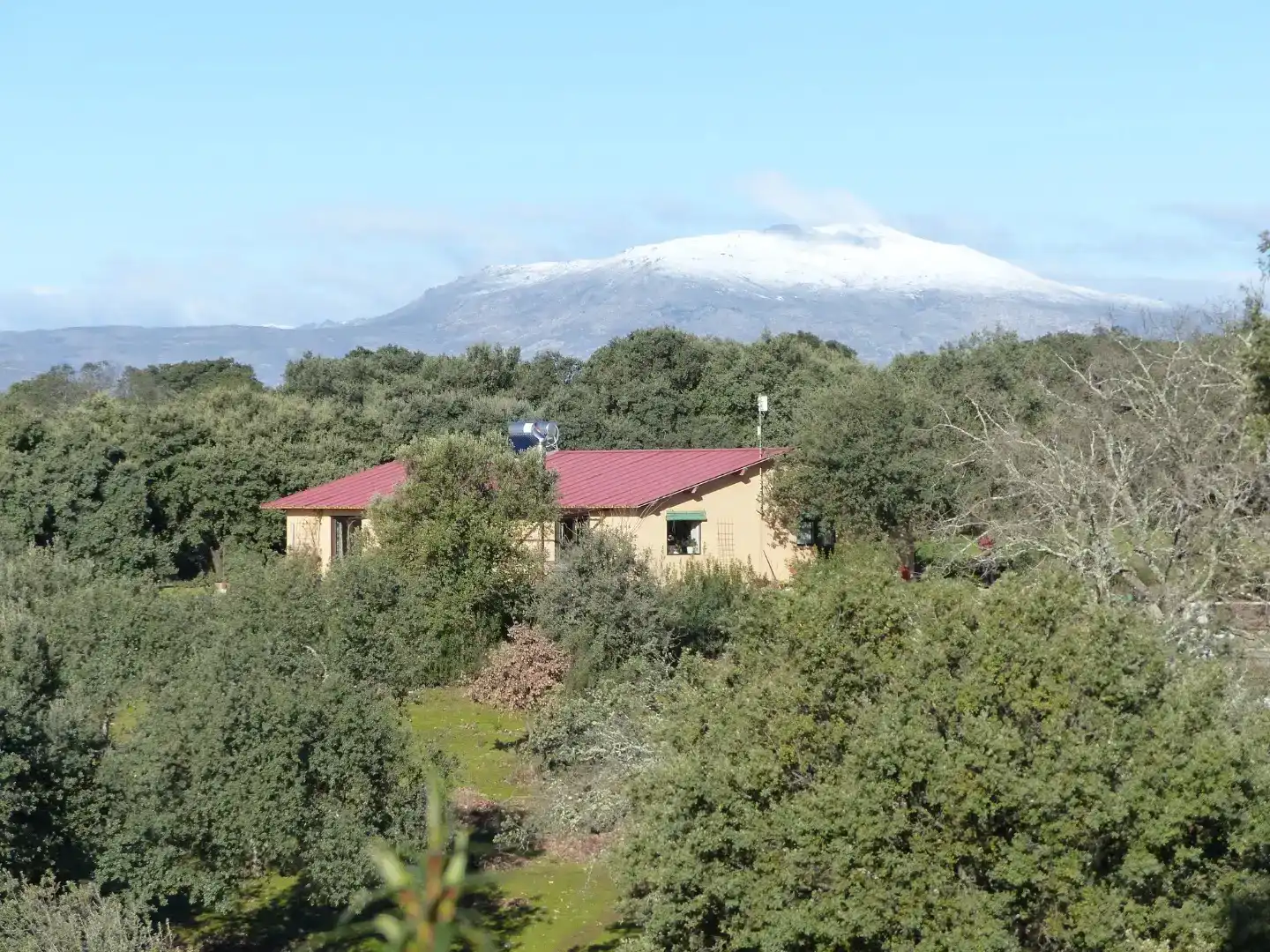 Vista exterior de Finca rústica en venda en Villasbuenas de Gata amb Aire condicionat, Traster i Piscina